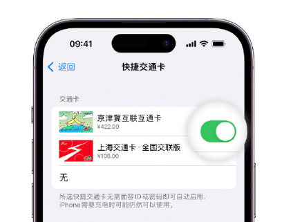 磐石apple维修点分享iPhone上更换Apple Pay快捷交通卡手绘卡面 