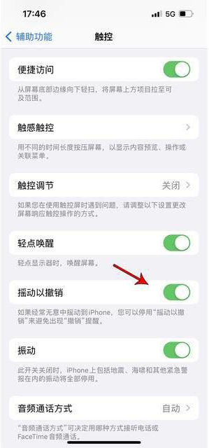 磐石苹果手机维修分享iPhone手机如何设置摇一摇删除文字 